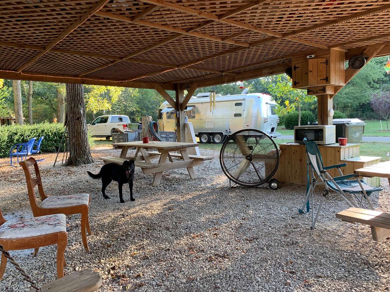 View pets photos of Hones Pointe Campground