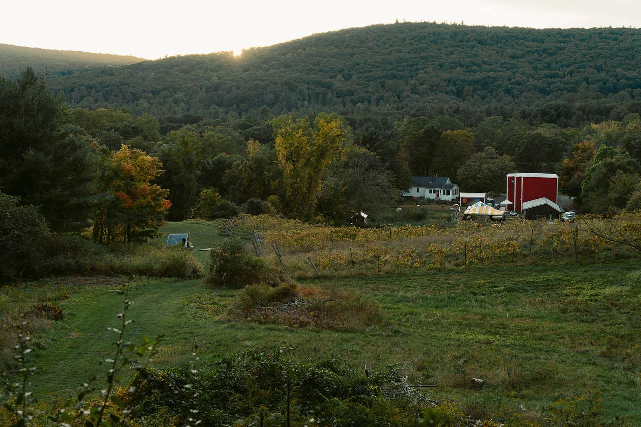 From the sites, you can get gorgeous views of the entire property. 