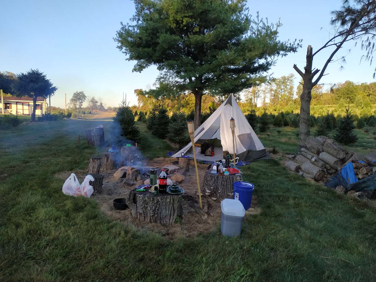 Picture of the site
