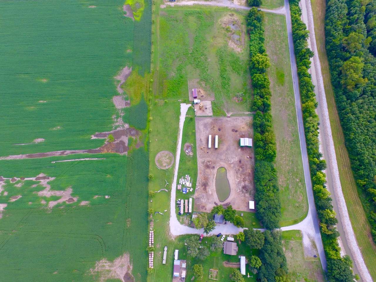 Picture of the site