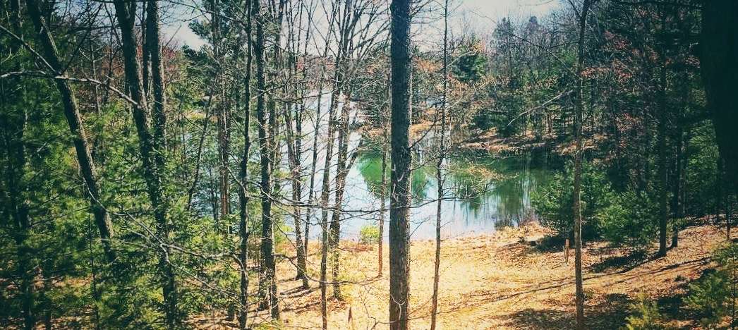 View more photos of GOREC