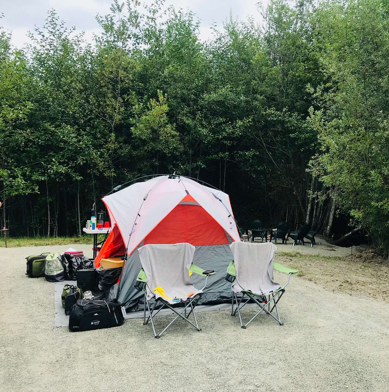 Picture of the site