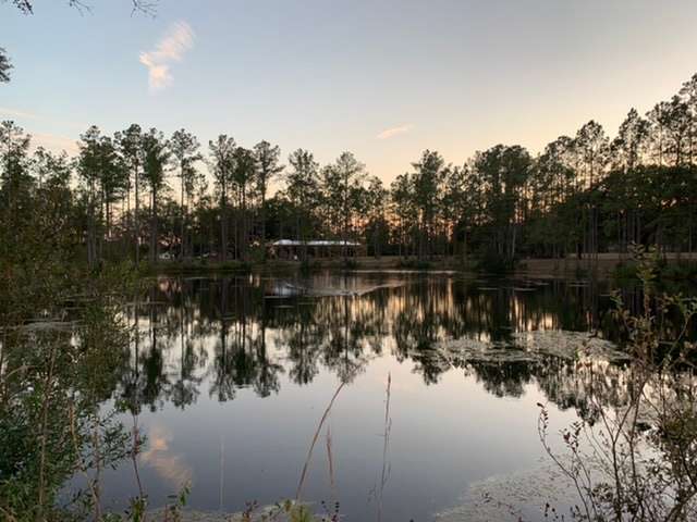 Photo 1 of 6 of Eden Gardens Jax