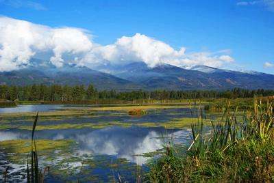 The Wetlands of Lee Metcalf Wildlife Refuge