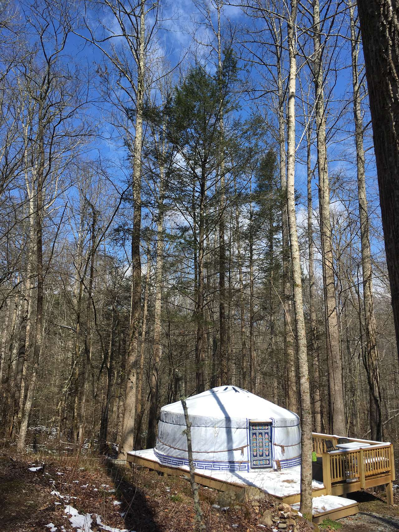 Picture of the site
