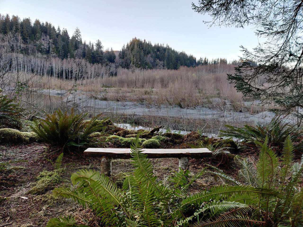 Picture of the site