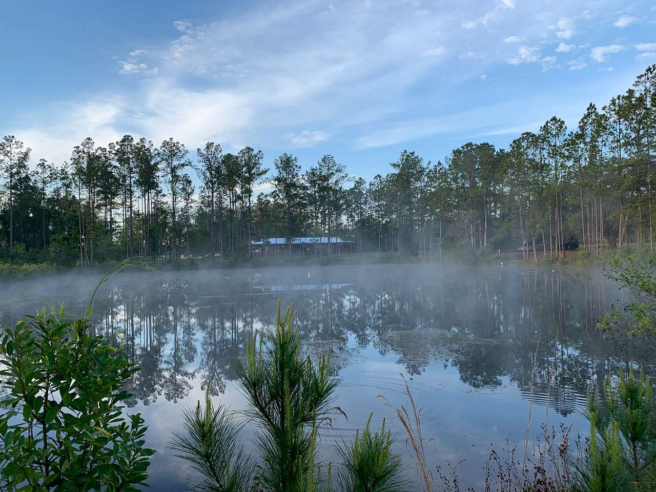 View more photos of Eden Gardens Jax