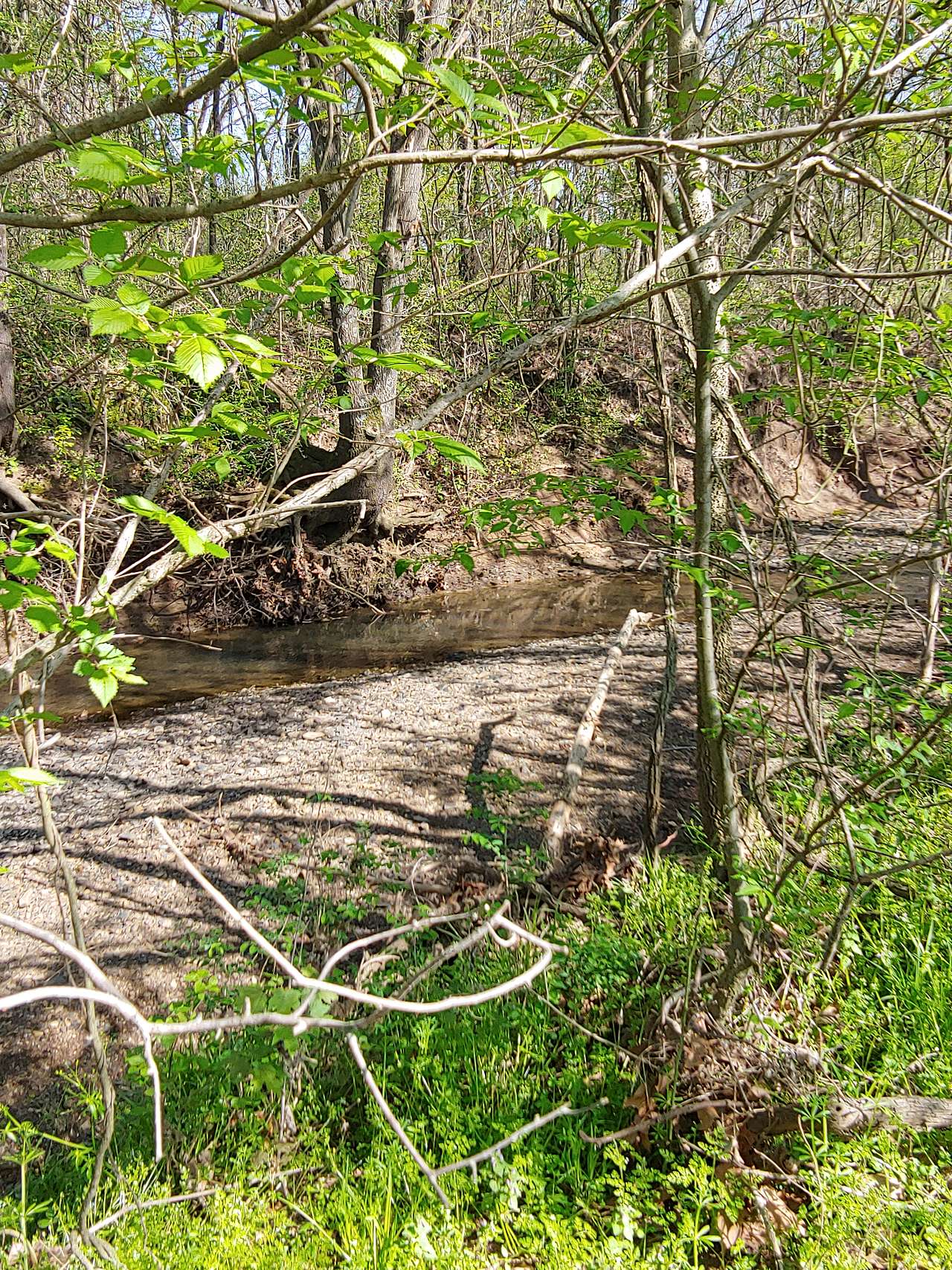 View more photos of Bent Creek