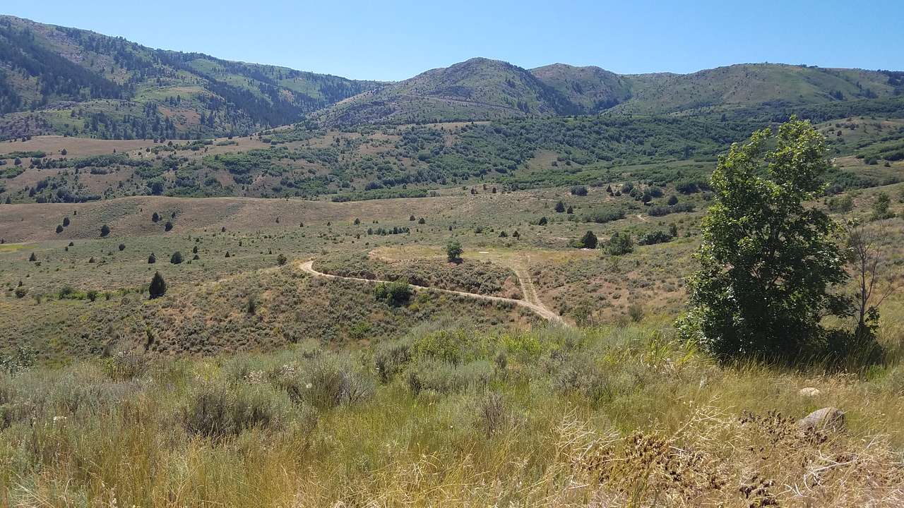 The Knoll is a beautiful perch for you and your friends to camp on.  Use either entrance you see here dead center of this photo.