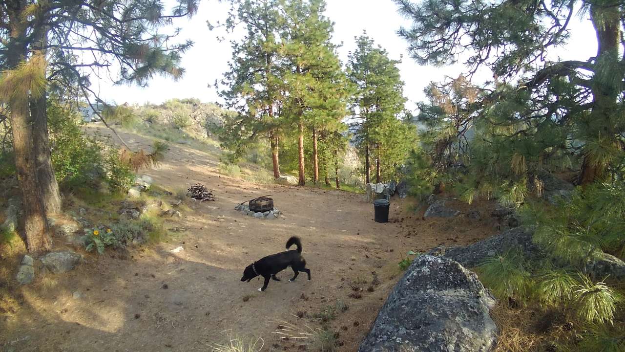 View pets photos of The Lakes