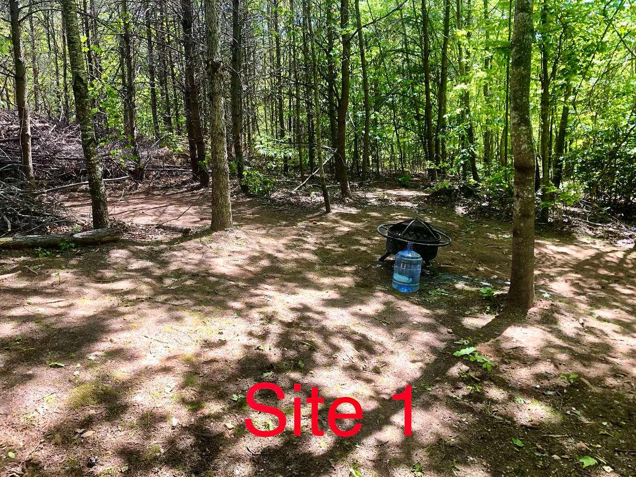 Picture of the site