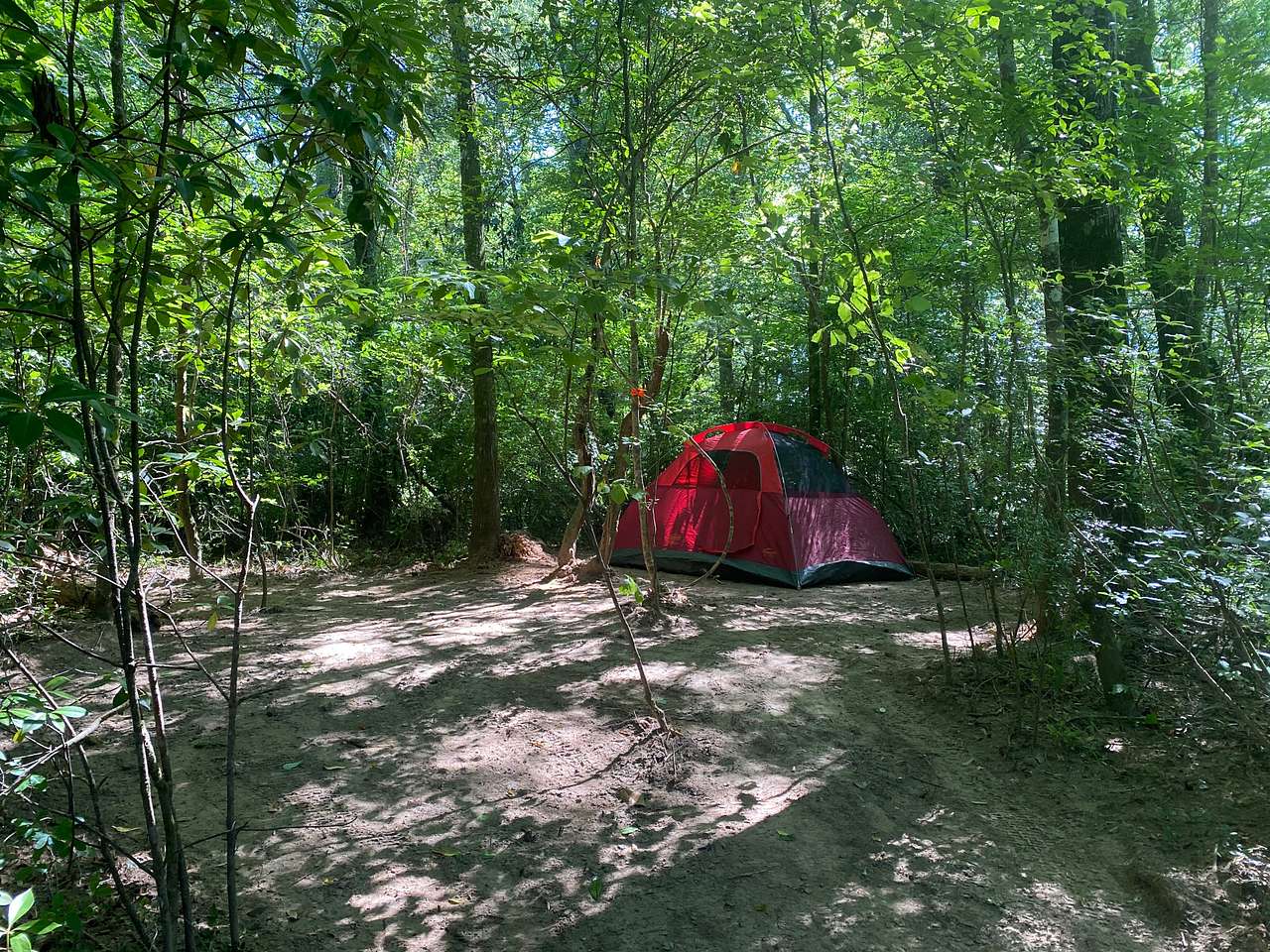 Picture of the site