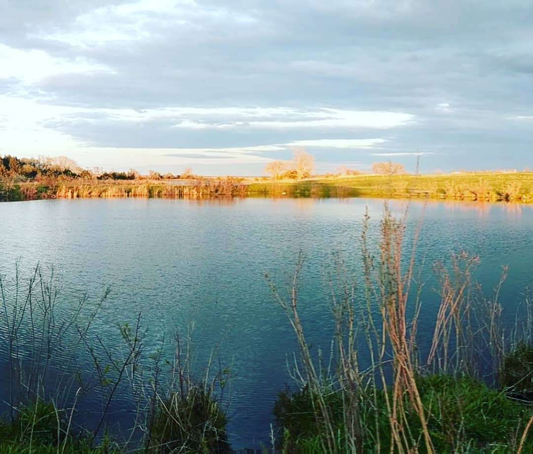 The view over one of our ponds.