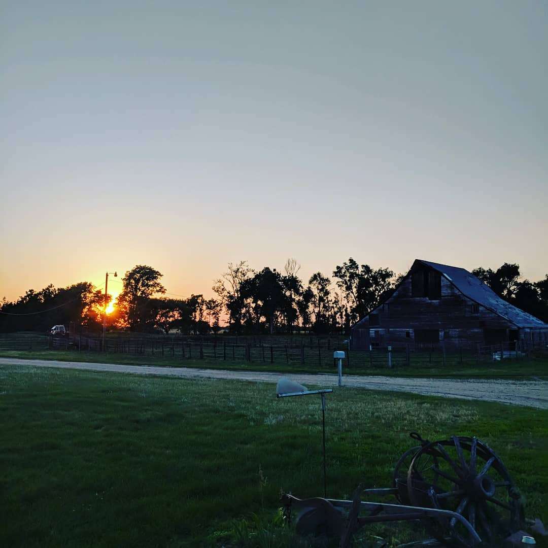 The drive and our barn at sunset.