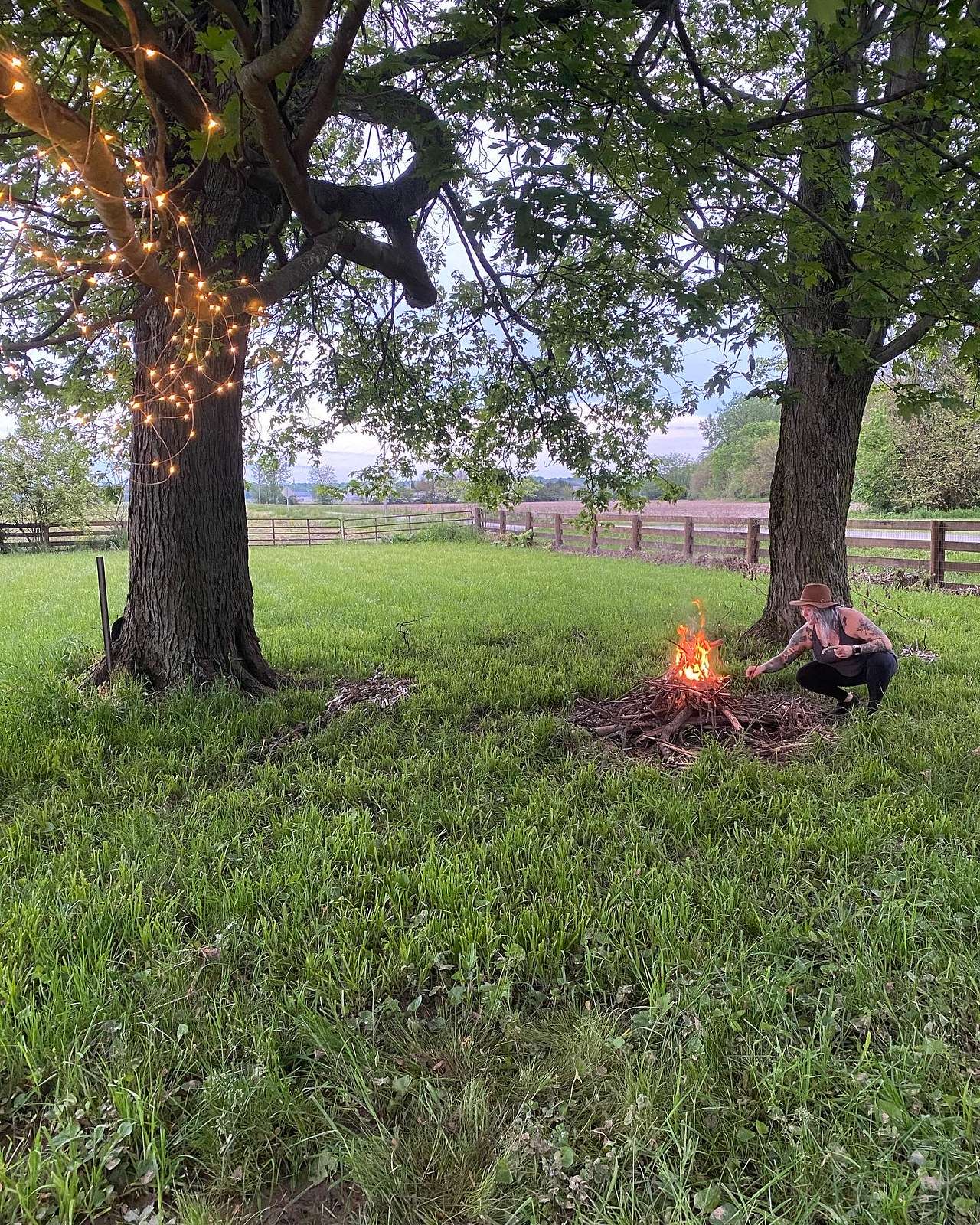 Picture of the site