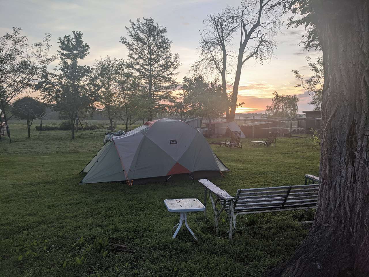 Picture of the site