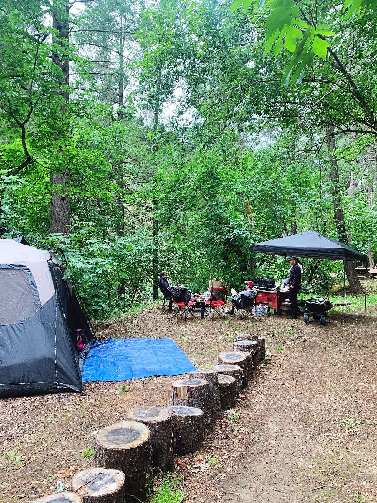 Picture of the site