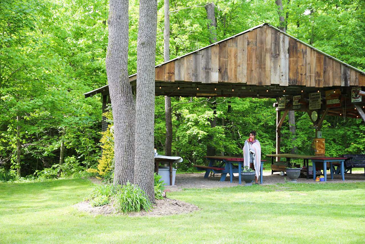 Picture of the site
