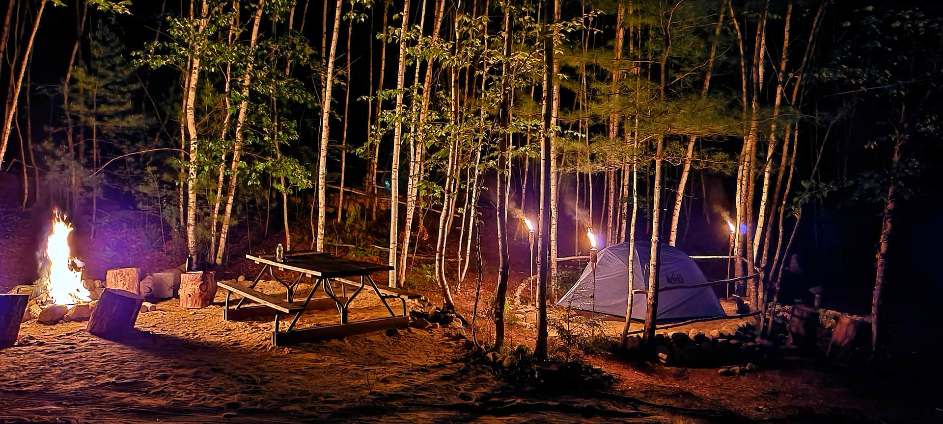 Picture of the site