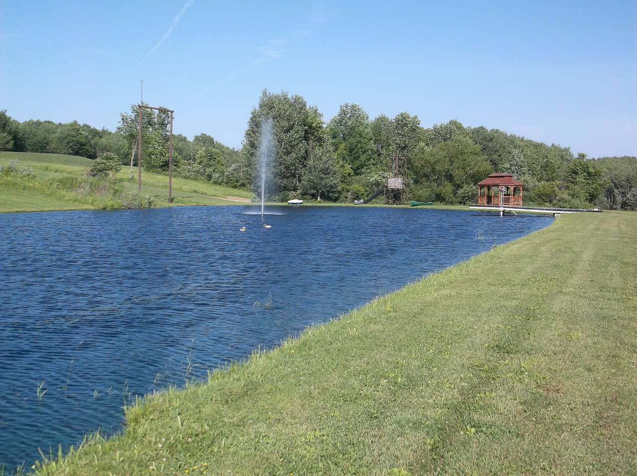 Picture of the site