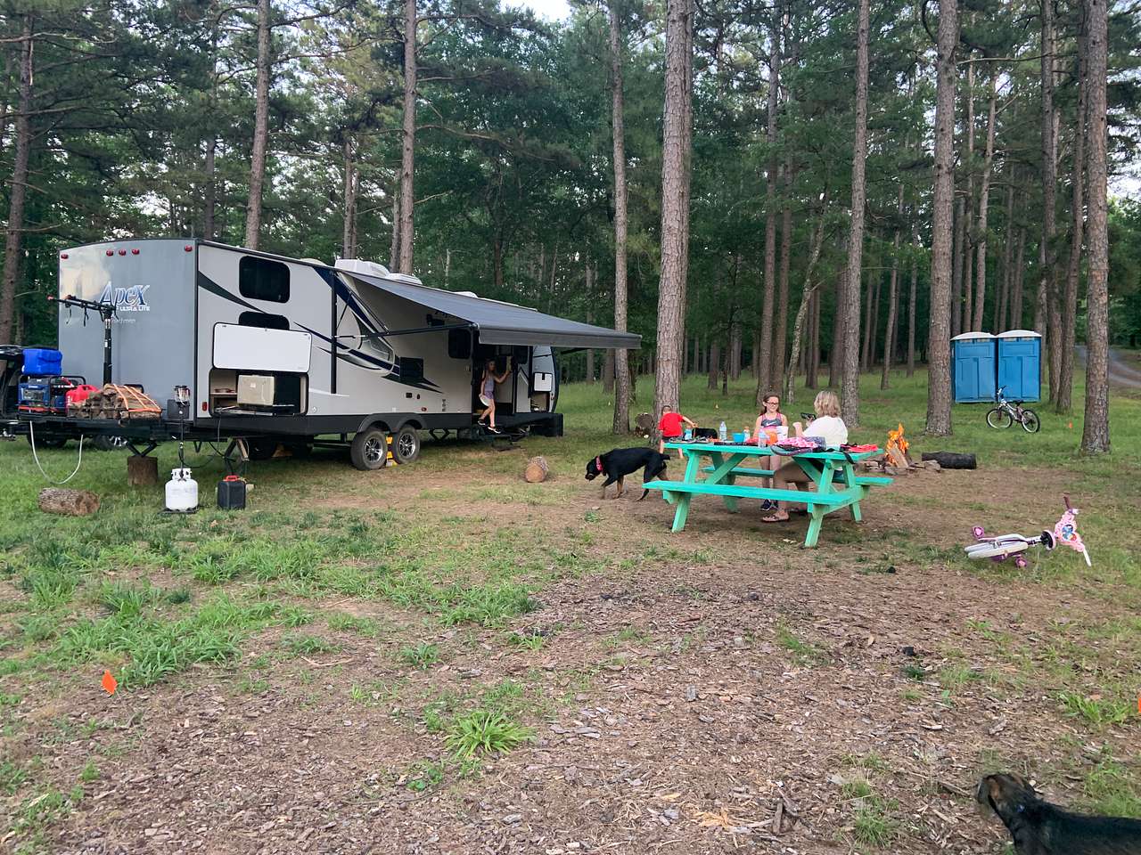 Picture of the site