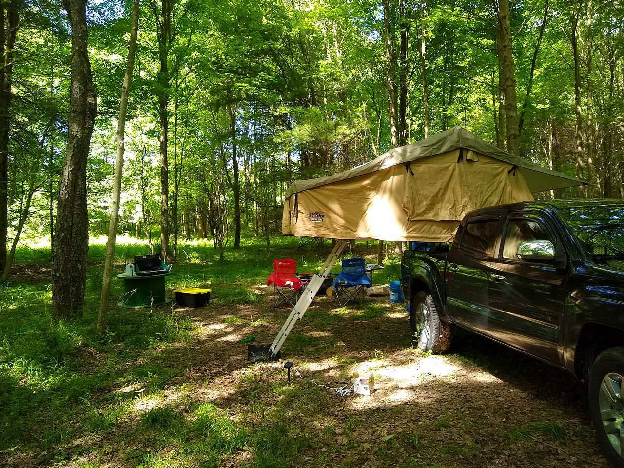 Picture of the site