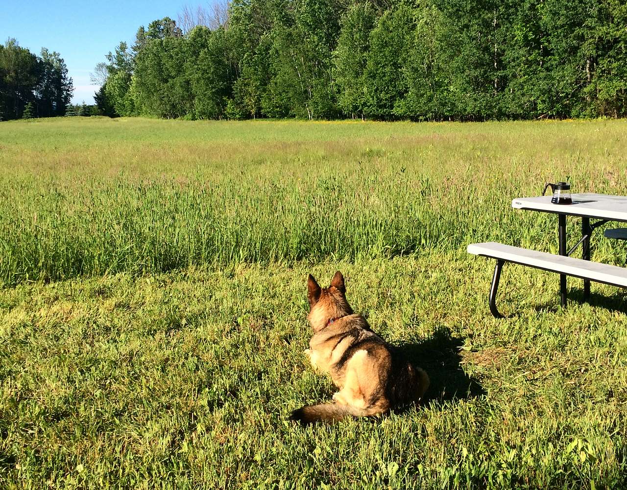 Picture of the site