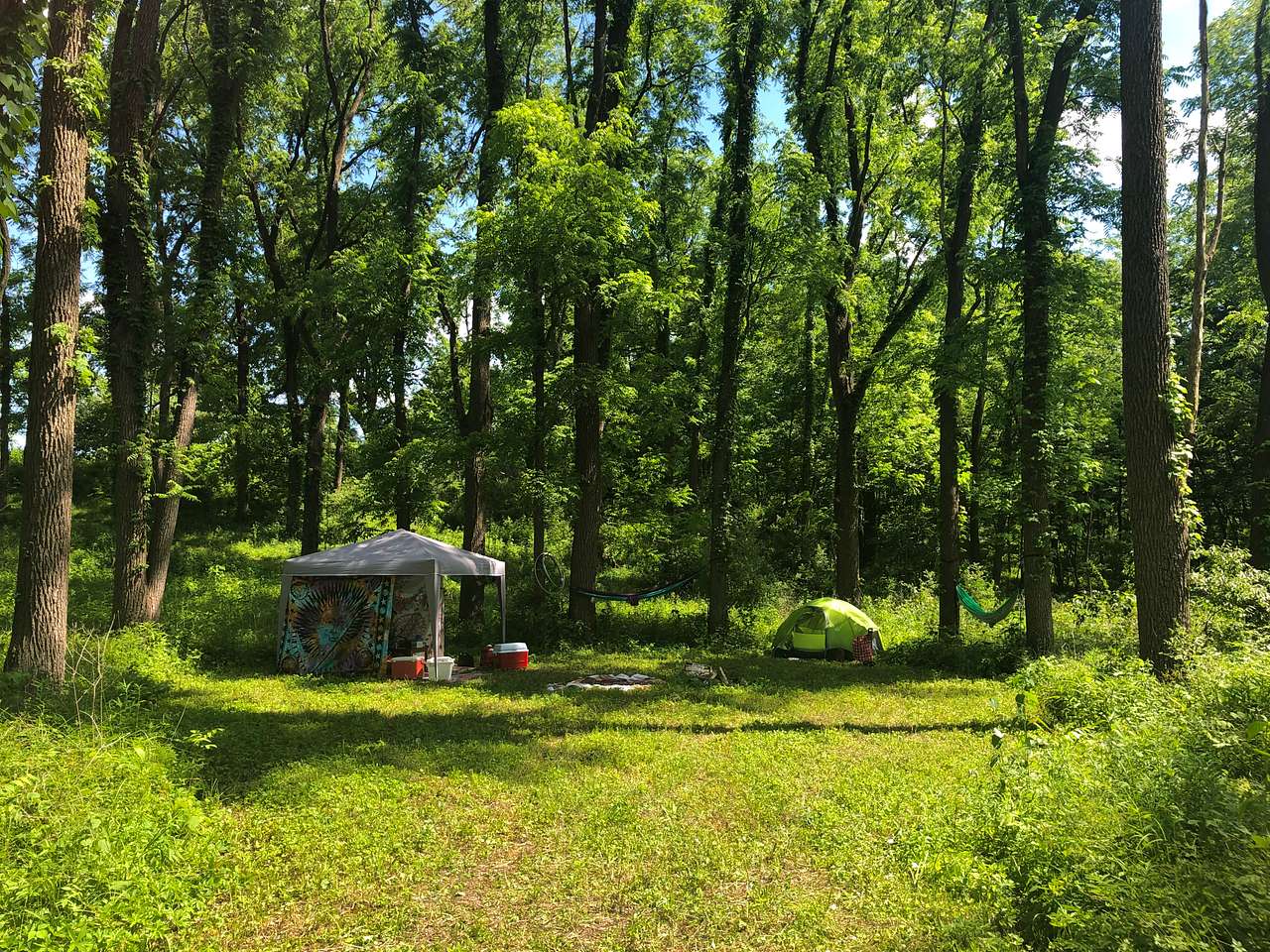 Picture of the site