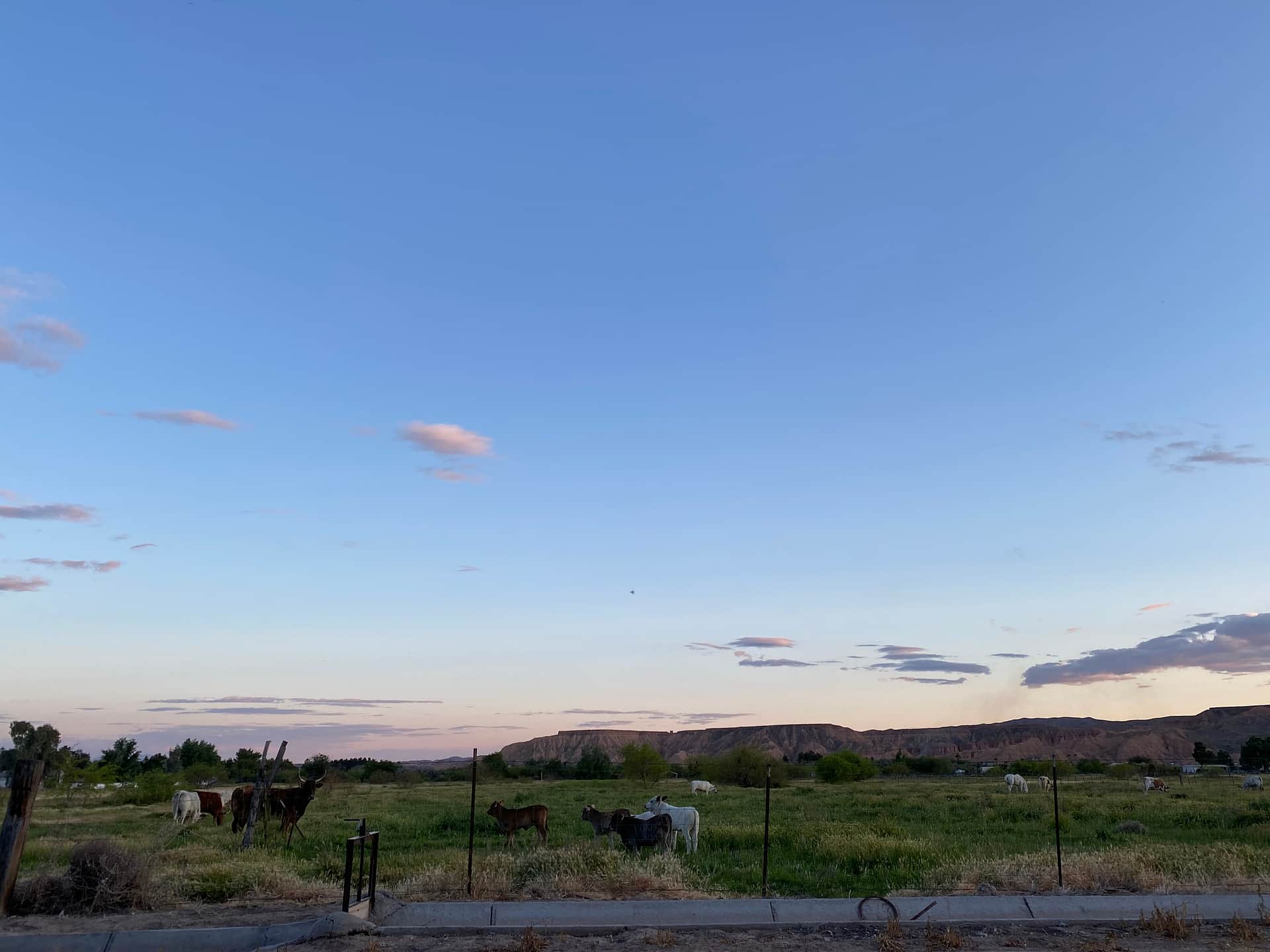 Picture of the site