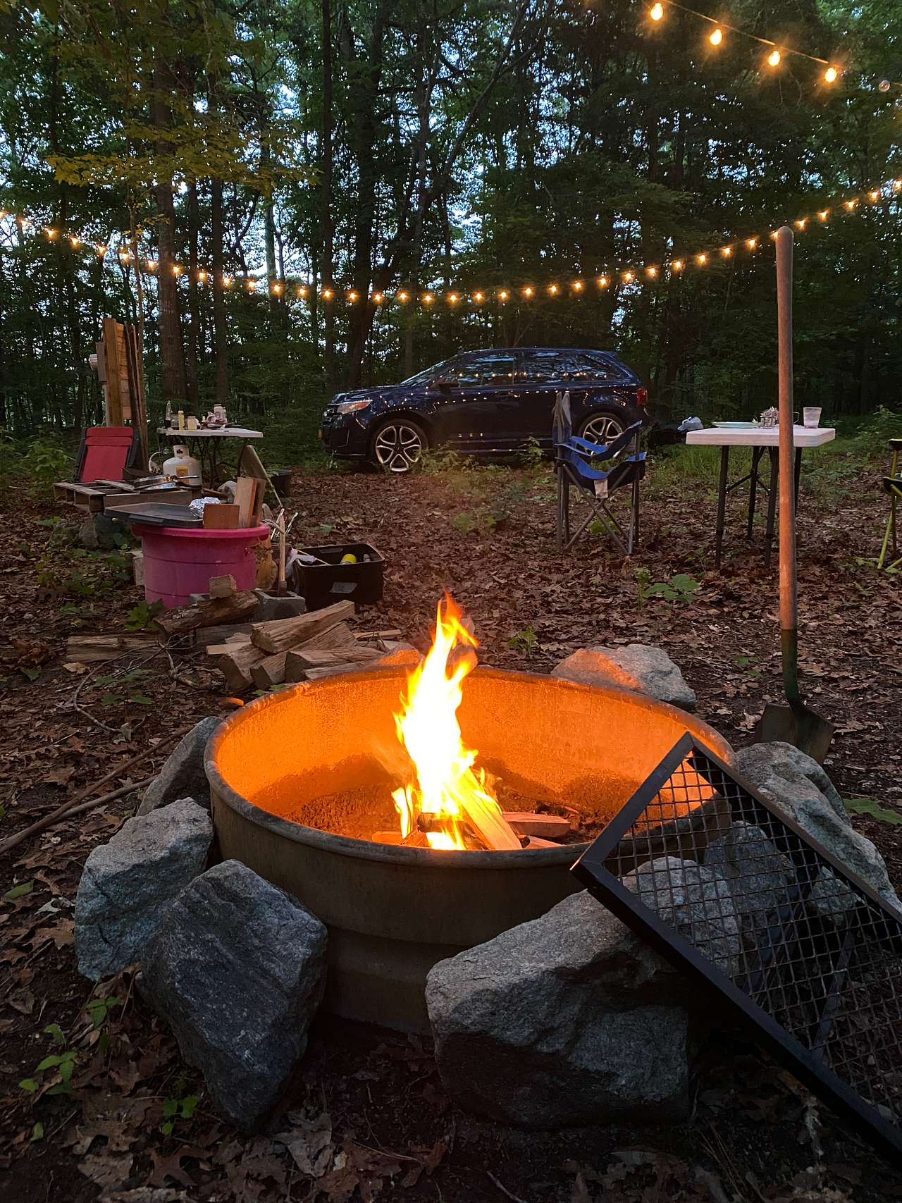 View rigs & rvs photos of Shine & Rise Magic Food Forest