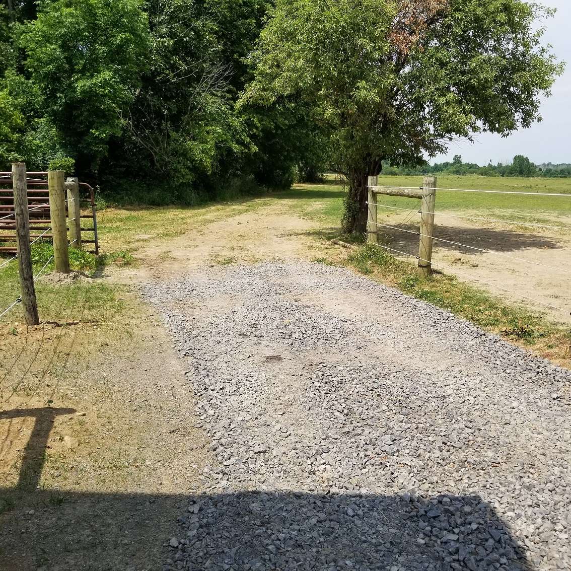 Picture of the site