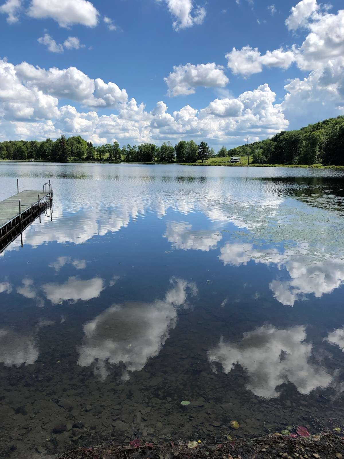 Lake view

