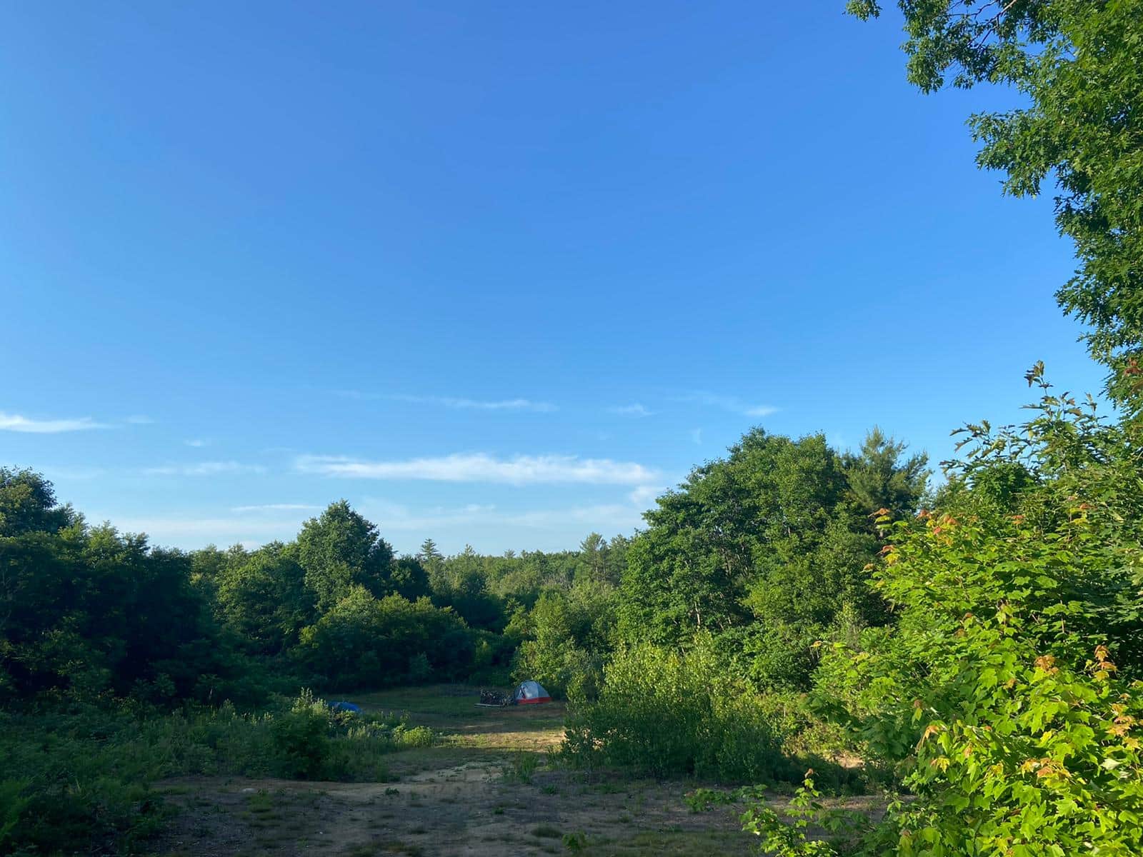 Picture of the site