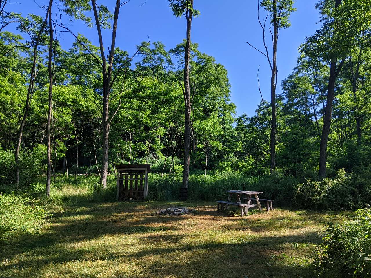 Picture of the site