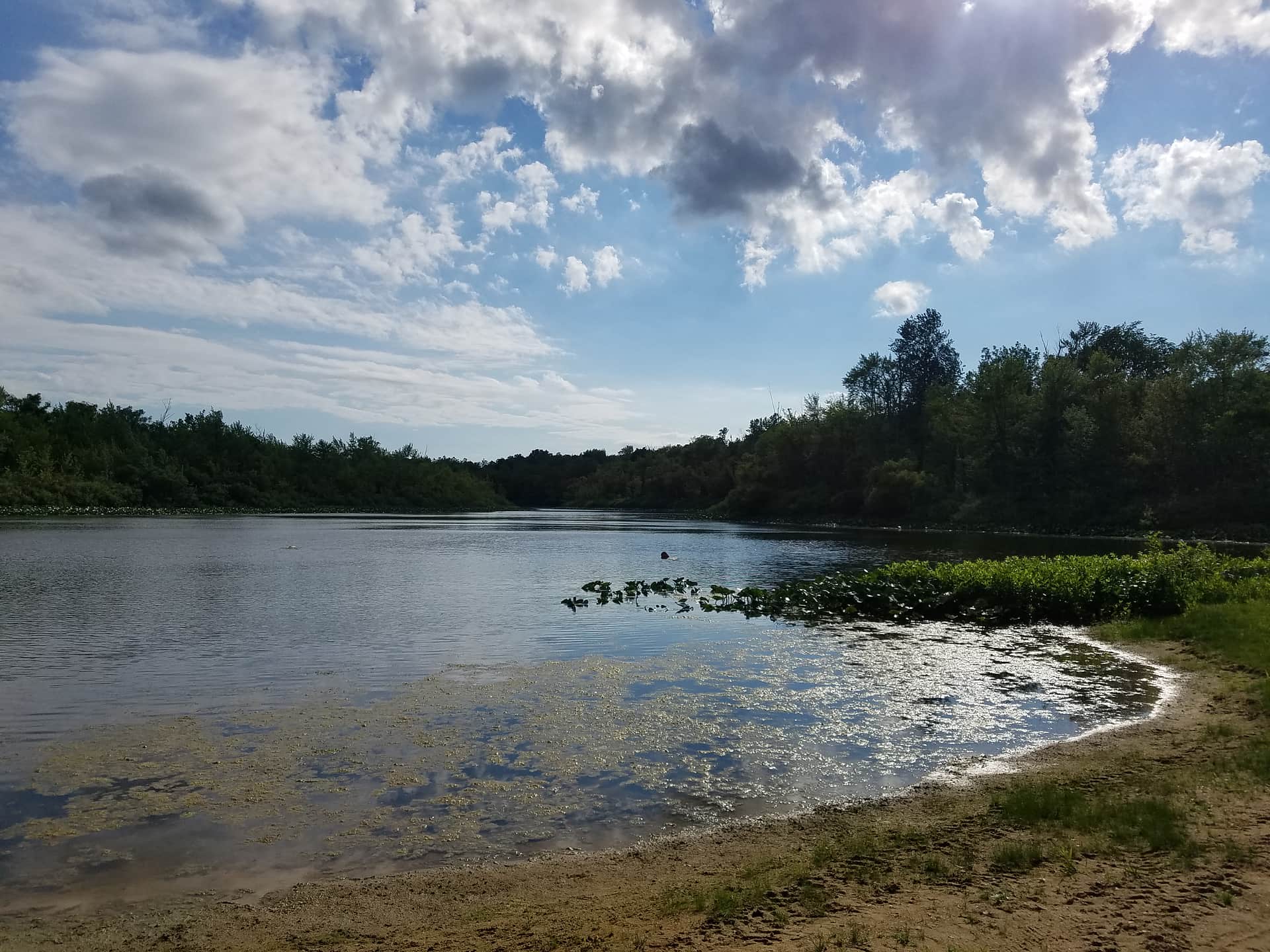 Picture of the site