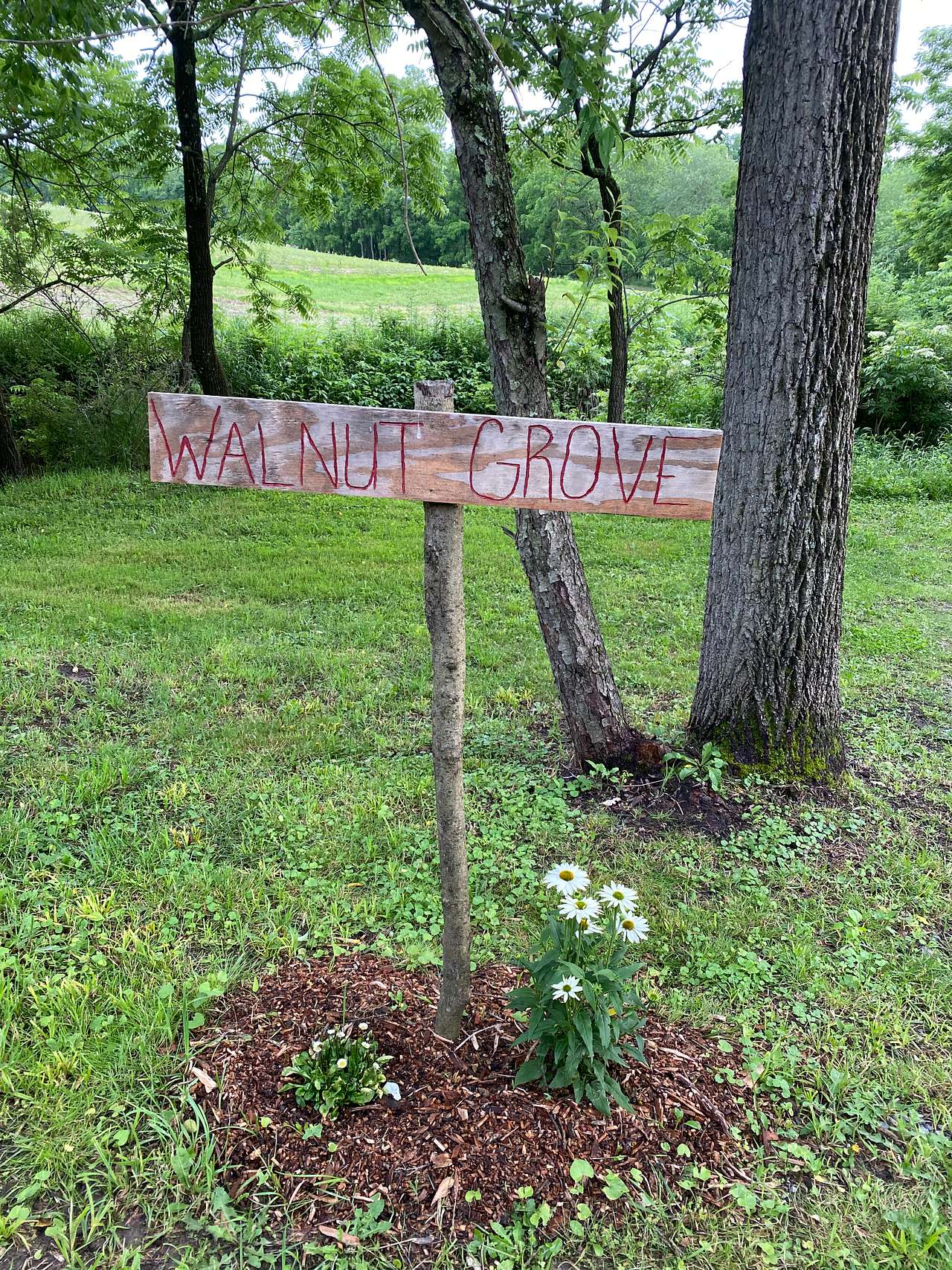 Picture of the site