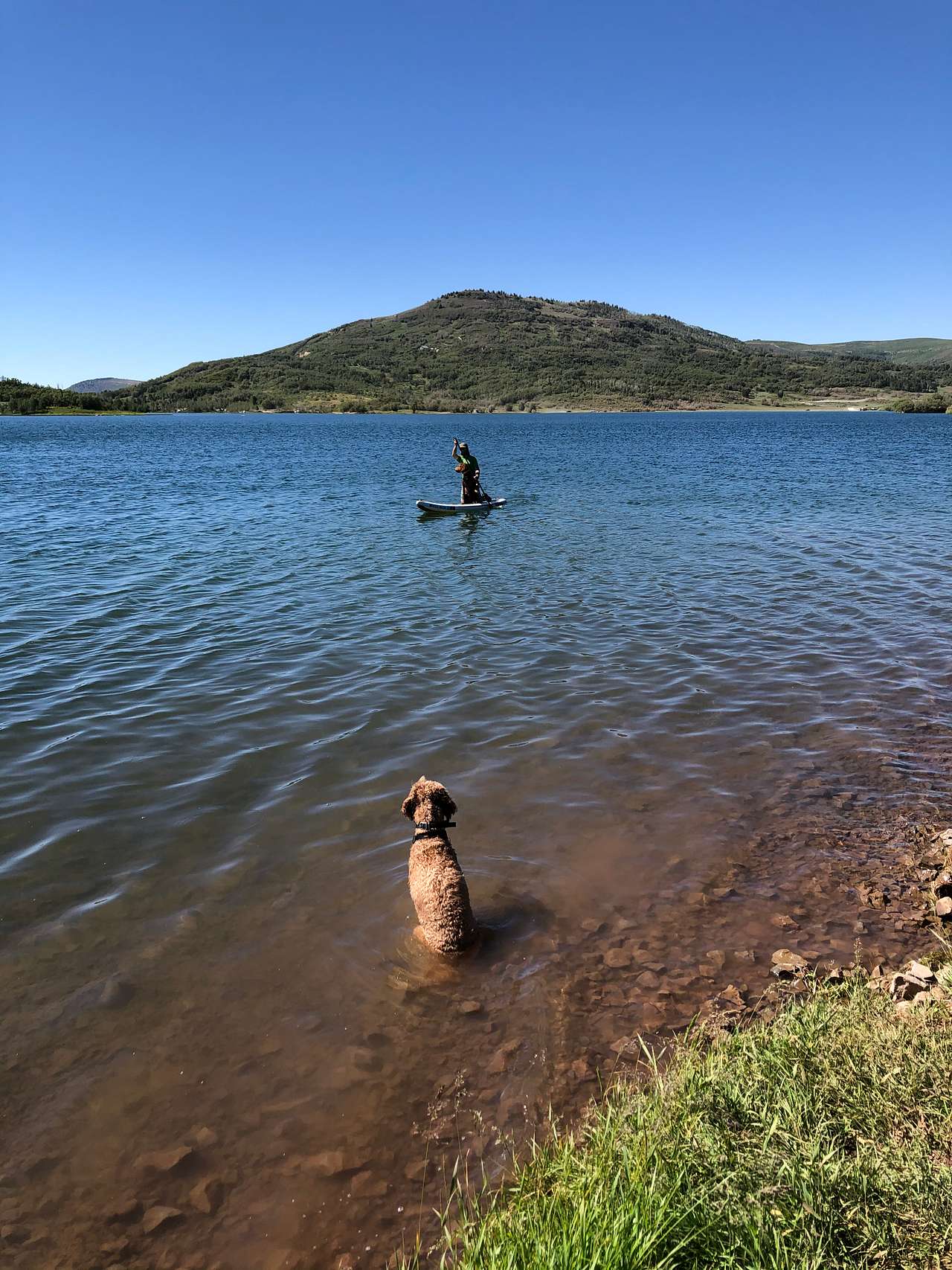 View pets photos of Kolob Campground