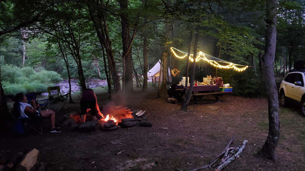 Picture of the site