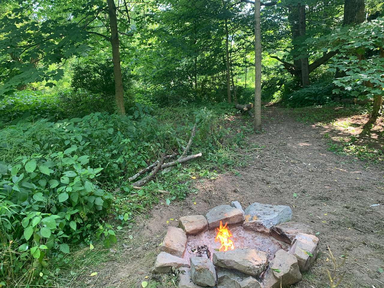 Picture of the site