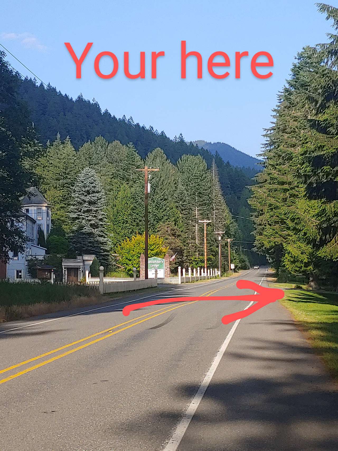 Picture of the site