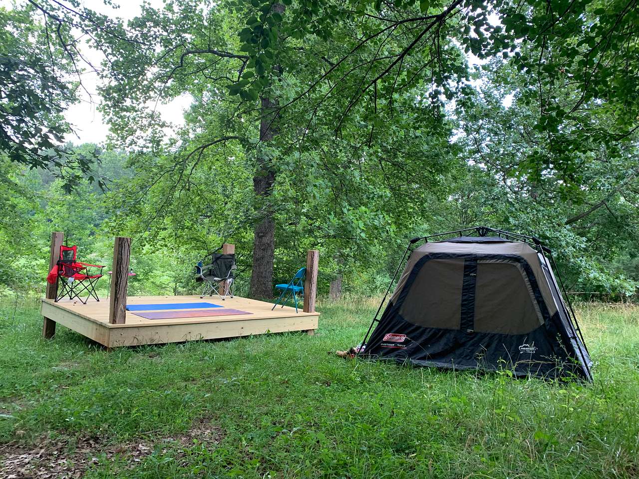 Picture of the site