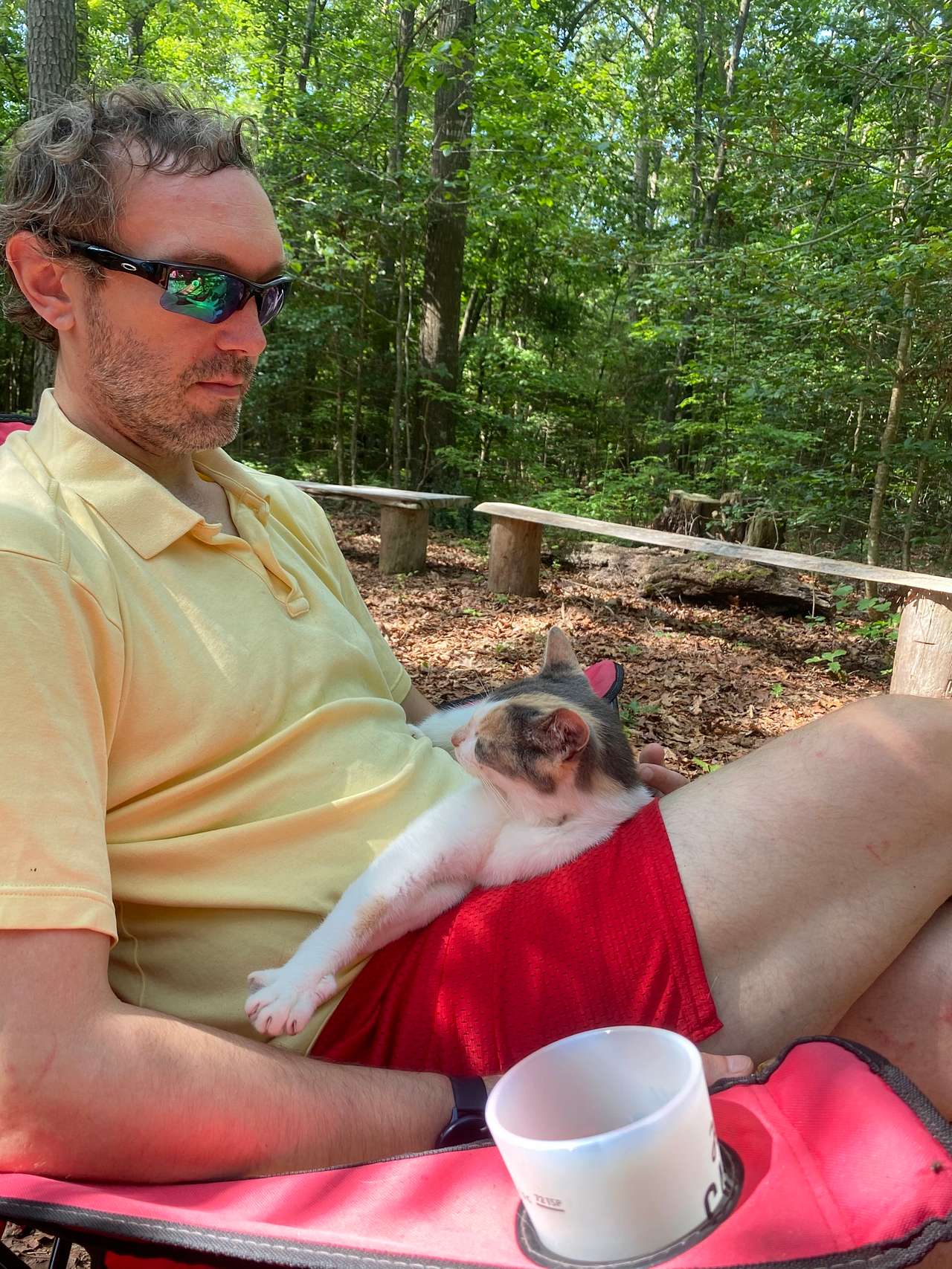 Campsite kitten! Super loving!