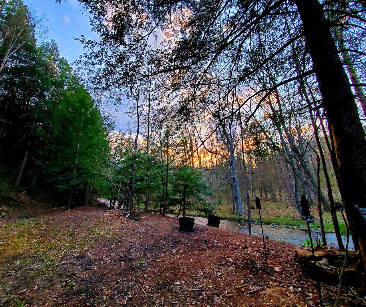 Picture of the site
