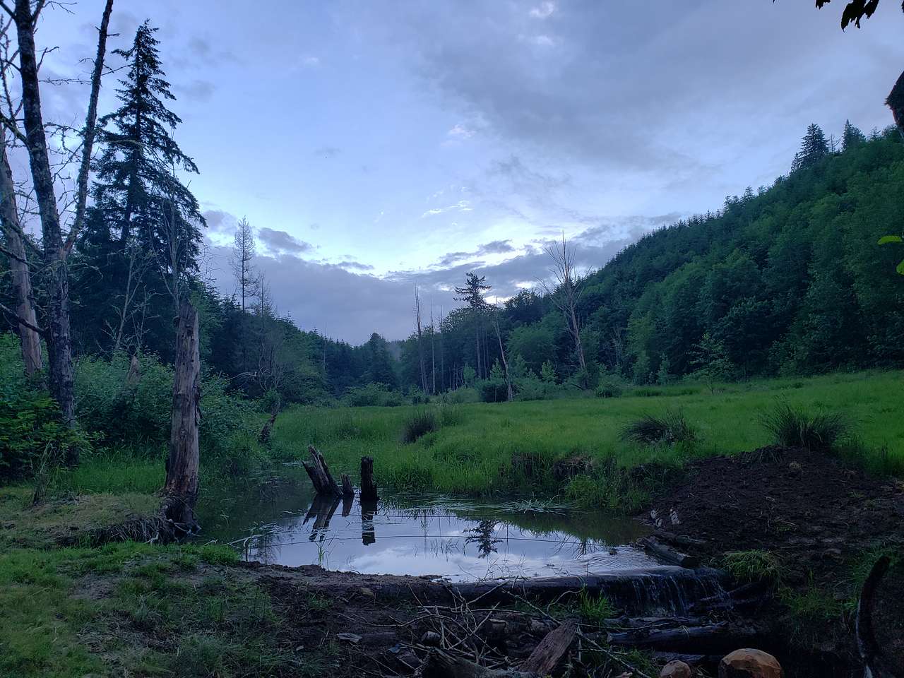 Picture of the site