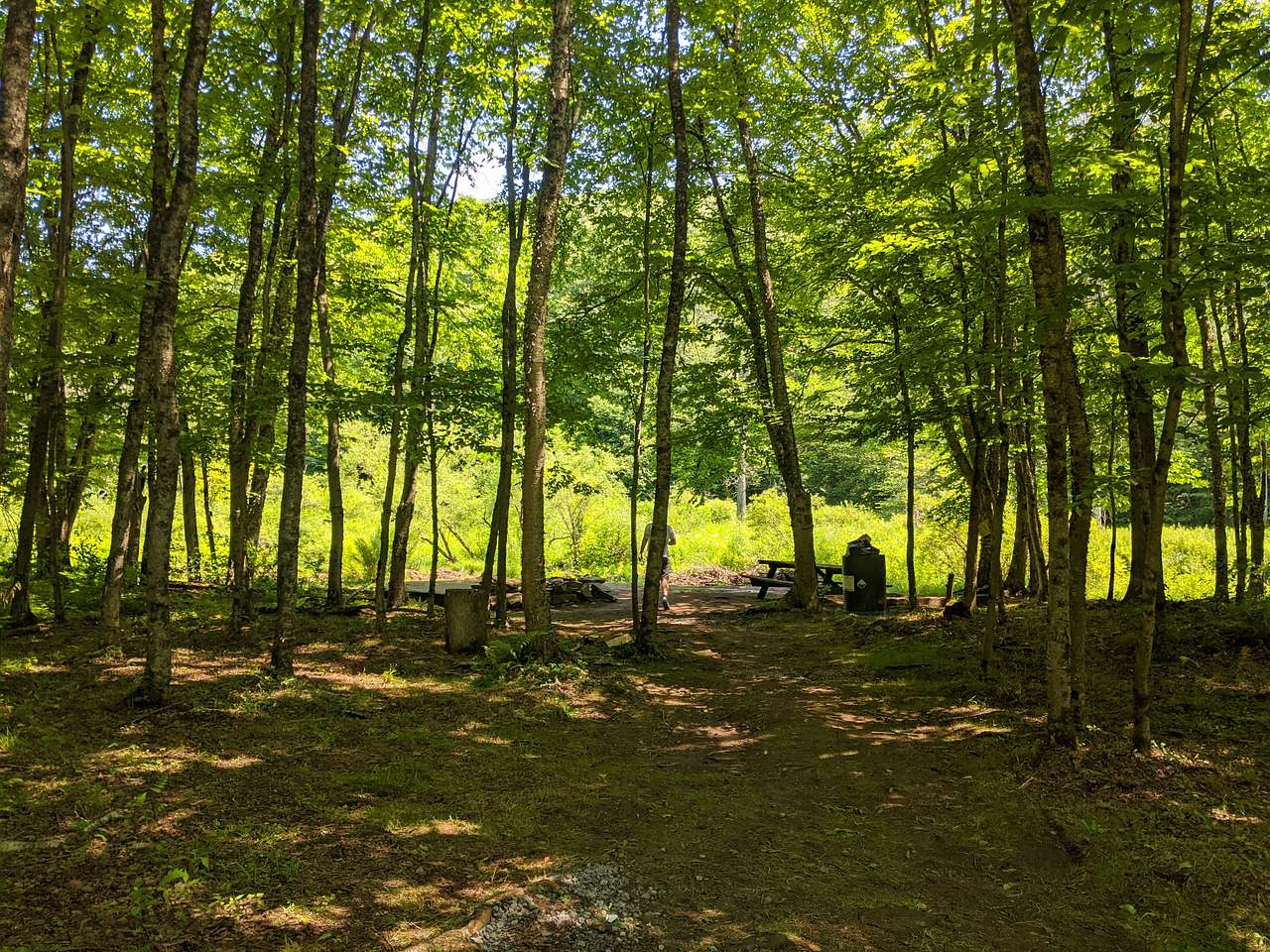 Picture of the site