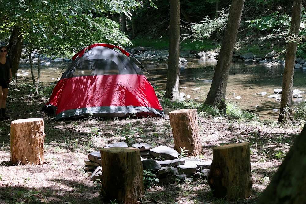Picture of the site