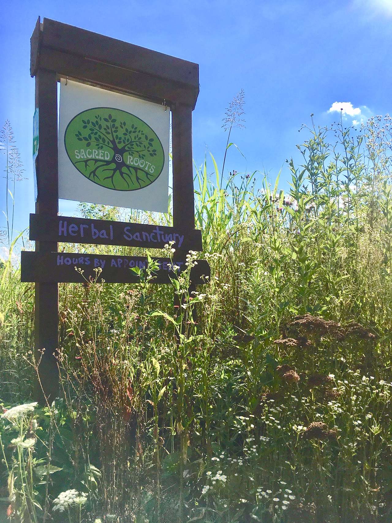 View more photos of Sacred Roots Herbal Sanctuary