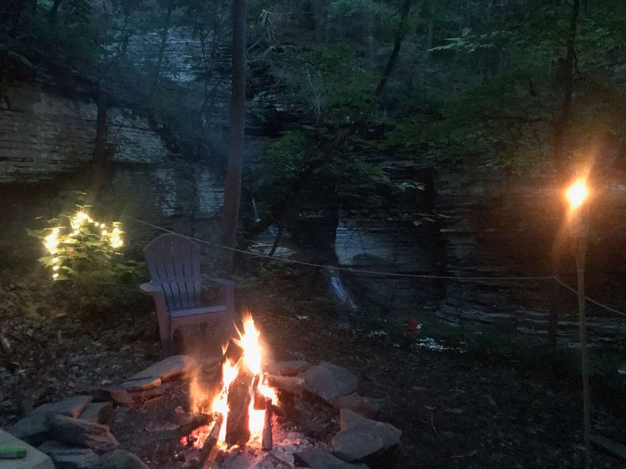 Picture of the site