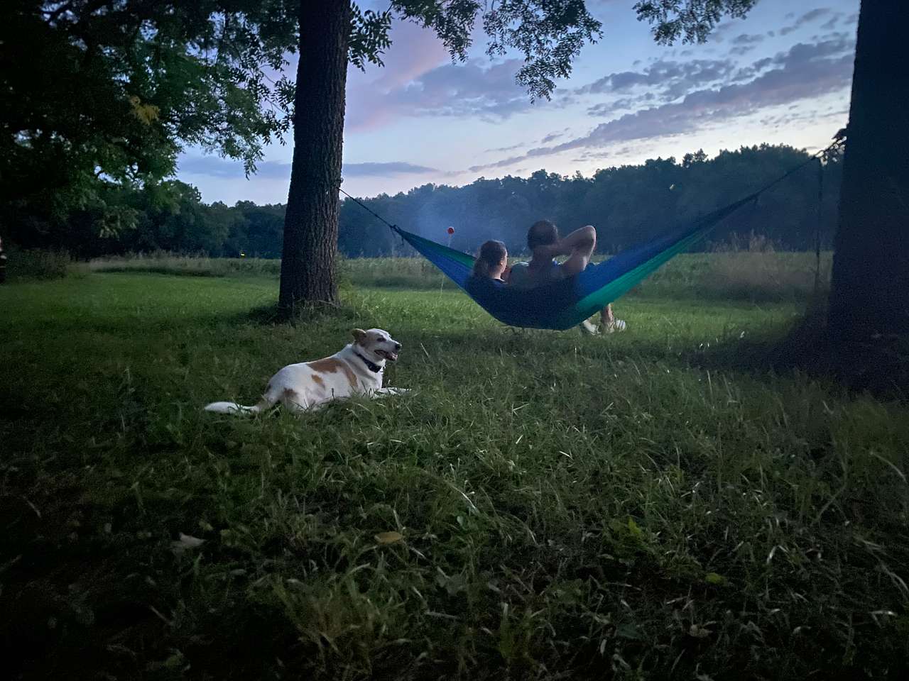 View pets photos of Walnut Valley Realm Campground