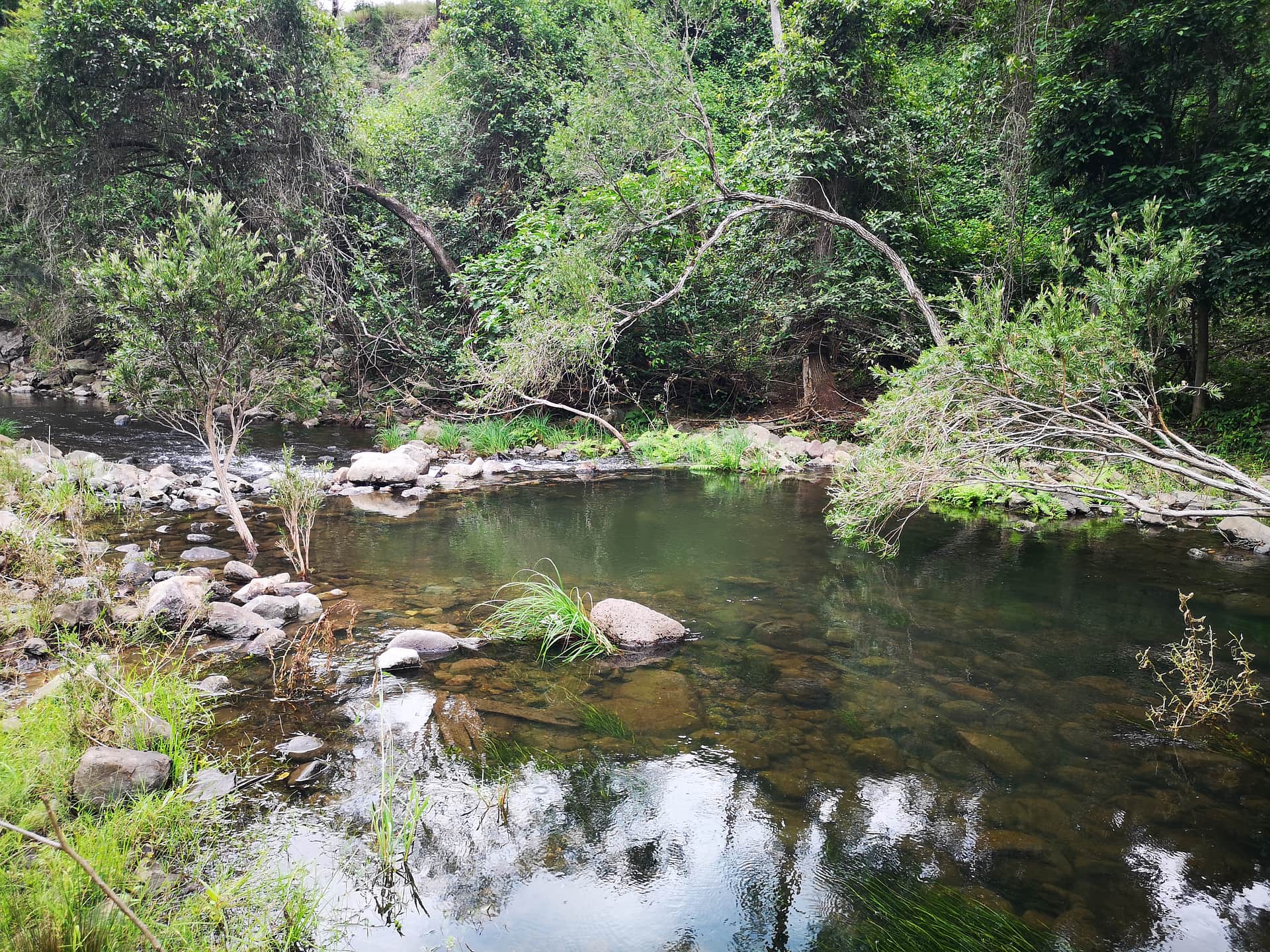 Picture of the site